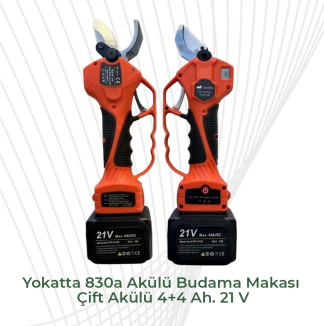 830a 21V